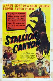 STALLION CANYON